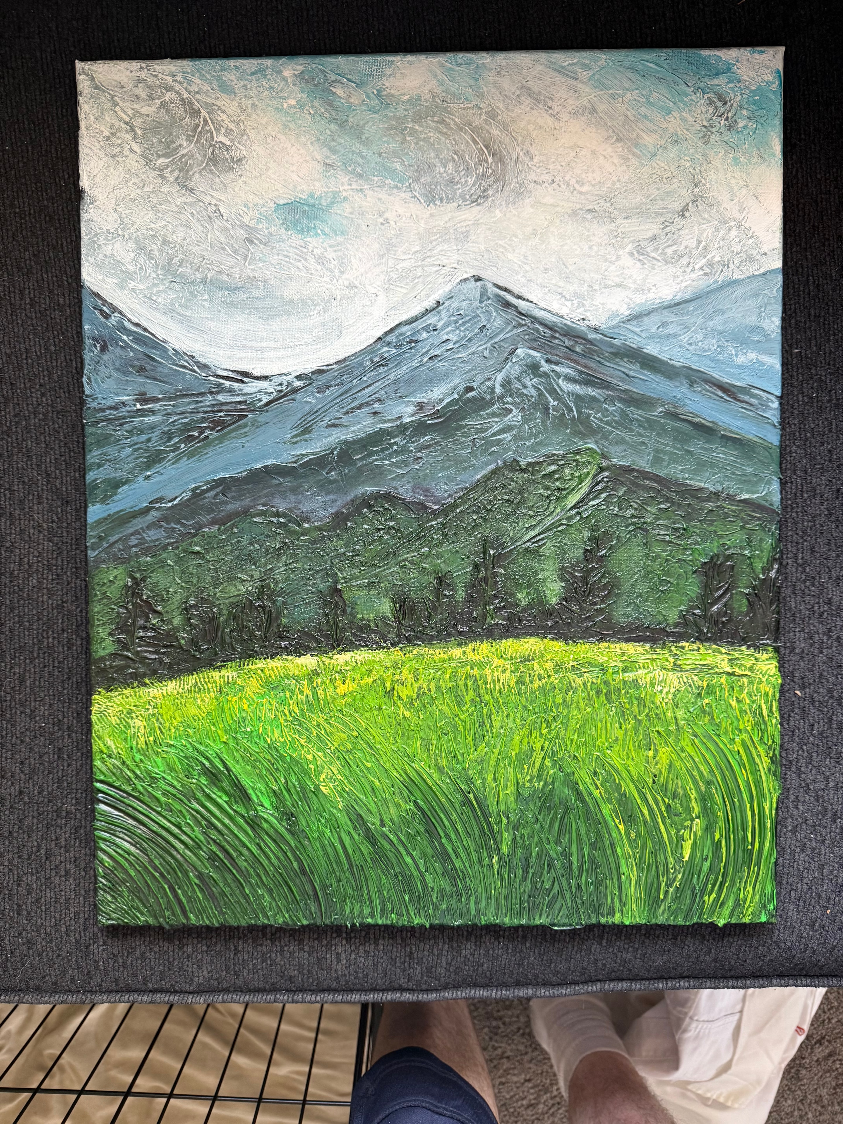 Blue Ridge Mountain — original 14x18 acrylic painting by Jay the Painter, Akron Ohio. Sweeping mountain landscape with vivid green meadow, evergreens, and blue-grey peak.