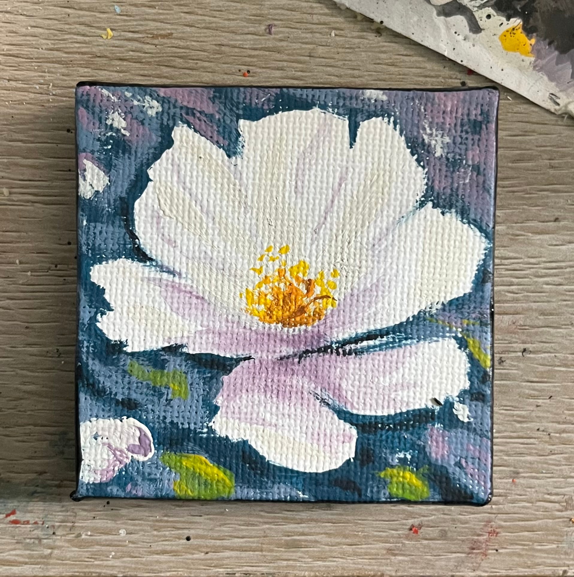 White Flower Miniature