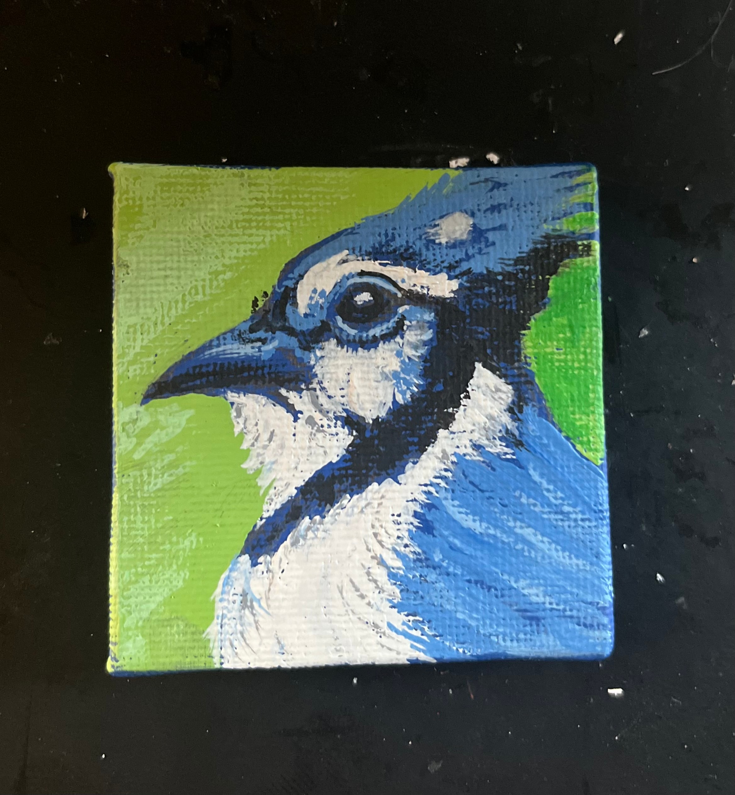 Blue Jay Portrait — $40 original caulk art mini painting by Jay the Painter, ships free to Toledo Ohio