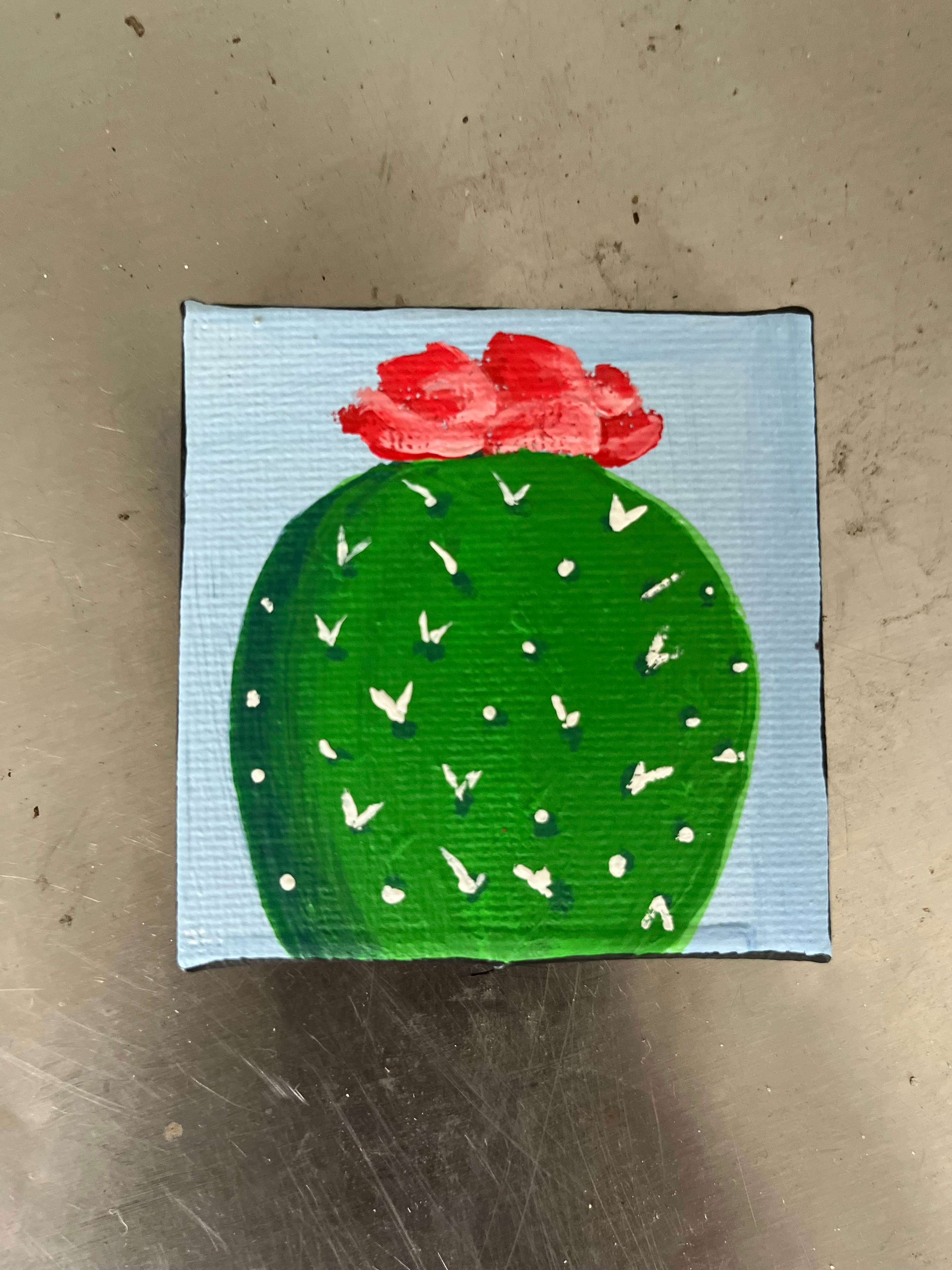 Mini Cactus
