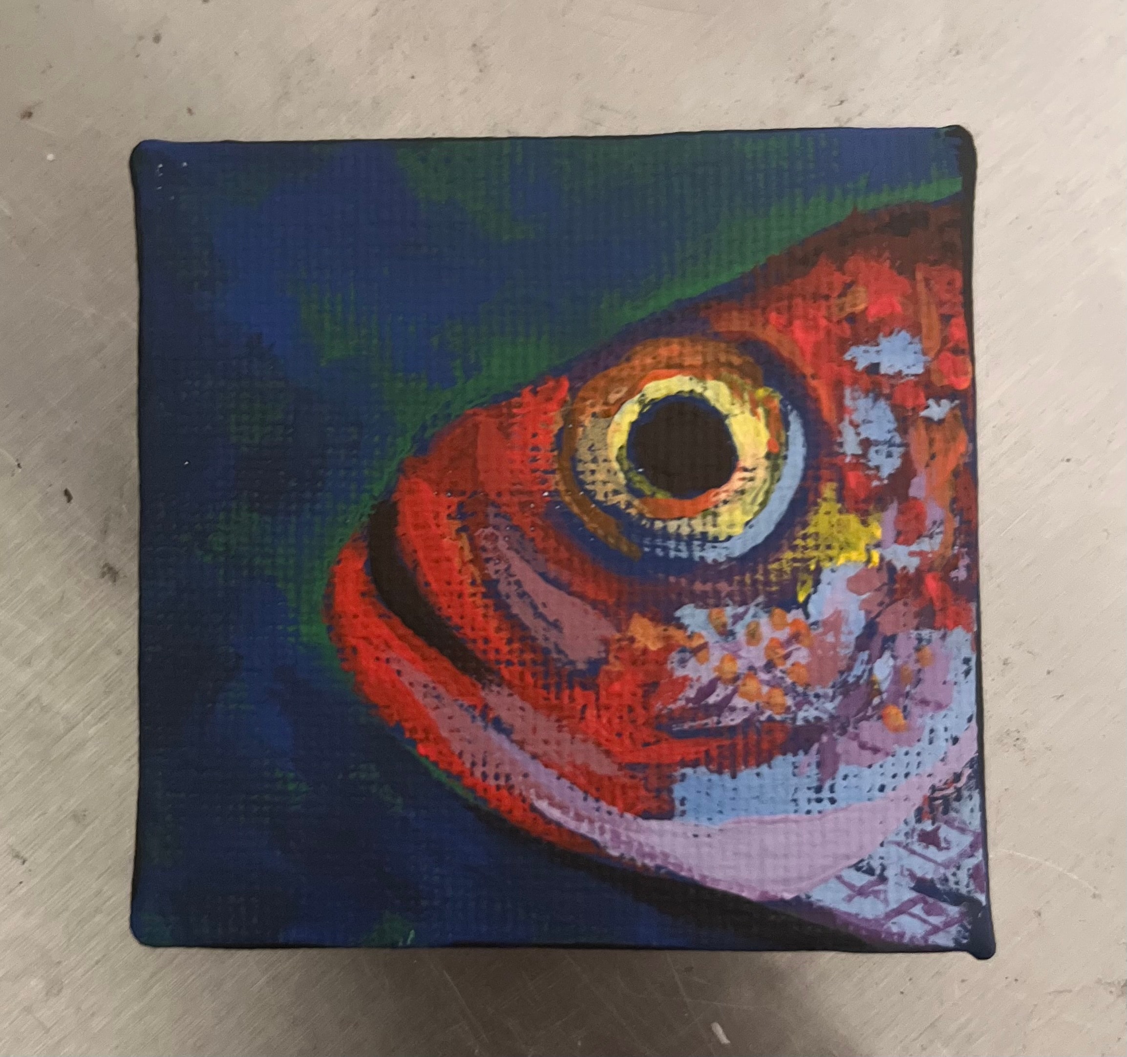 Parrot Eye